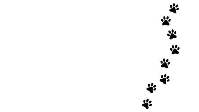 dog paw, cat paw trail print isolated on white background. 4k animated video	
