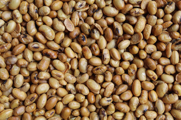 Background of fried soy bean