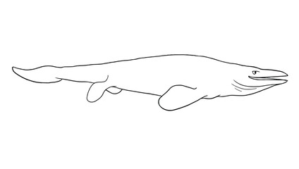 Vector Line art Mosaurus