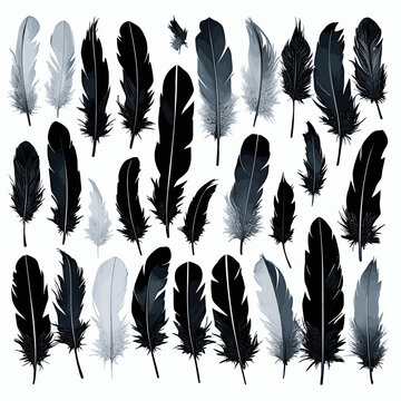 Black Feathers: A Collection of 24 Feather Silhouettes in Black and White