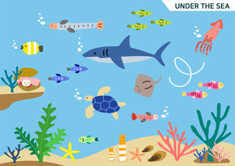 sea ​​and marine life