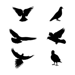 Pigeons silhouette vector illustrations on white background