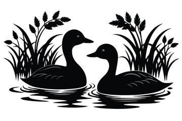 A pair of ducks swimming in a pond E.eps