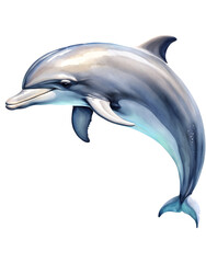 watercolour clipart illustration Bottlenose Dolphin