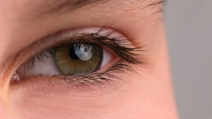 Close-Up View Of A Young Girl'S Open Green Eye