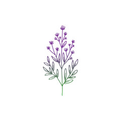 Obraz premium stalk and blooming flower line vector logo design