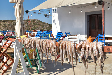 taverna greca con polipi appesi