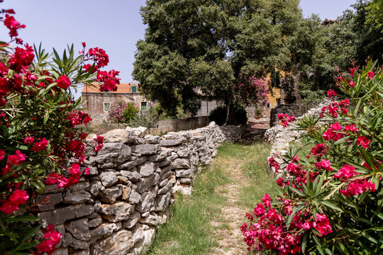 Fototapeta Strolling through the streets of the decaying village of Zirje on the island of the same name in Croatia