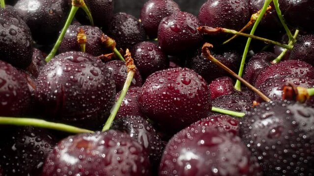 Harvest of cherries glistening with dew droplets. Ripe cherries covered with water drops. Dolly shot with laowa macro probe lens. Each cherry is covered in dewdrops. Organic food concept. 4K, UHD