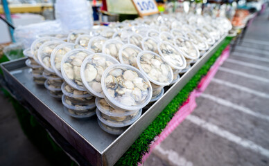 Close up view of fresh oysters packed in clear plastic boxes. Stack several boxes in tray. Often seen in fresh markets and fishing areas of Thailand.