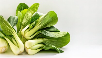 Obraz premium Bok Choy - a type of Chinese cabbage, used as food. Chinensis varieties do not form heads and have green leaf blades . Asian cooking vegetable food and broth concept. isolated on white background