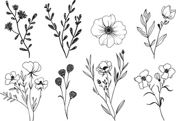 Set of hand drawn wildflowers. Black and white vector illustration.