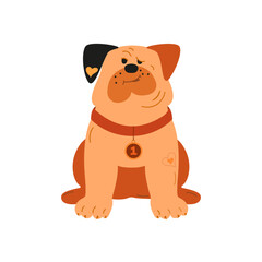 Cute bulldog with heart accents and medal on white background. Vector illustration in a Flat style.