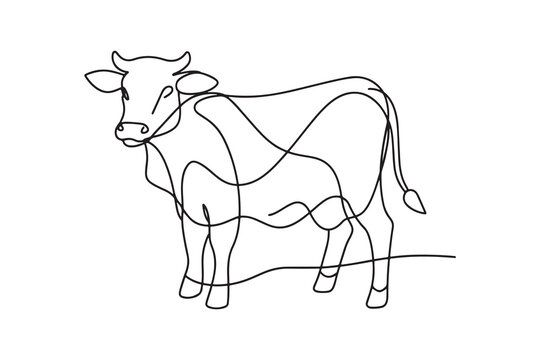 recommend clip art: Cow Continuous line art vector illustration on white background