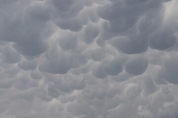 Mammatus clouds in the sky