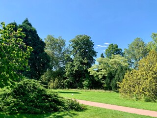 Arboretum de la vallée aux loups à Châtenay-Malabry, France 