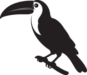 Toucan Silhouette Vector Illustration White Background