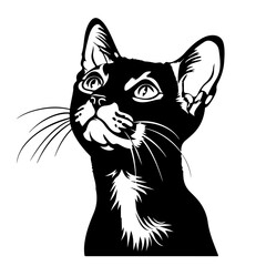 Abyssinian Cat Vector Logo