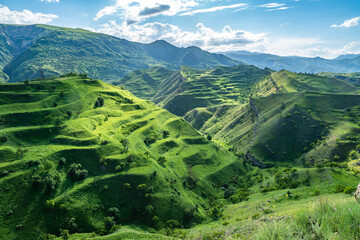 on a warm summer evening in the mountains of Dagestan