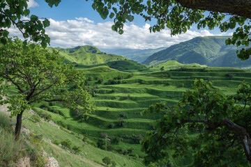 on a warm summer evening in the mountains of Dagestan