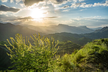 the girl holds a spoon with a long handle in her hand