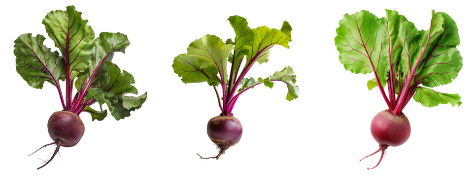 set of beet roots with leaves isolated on transparent or white background