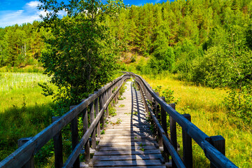 Wooden stairs in forest are leading upwards seamed by moss covered stones and the wooden railing in a spring scenery in the famous Schwarzachklamm