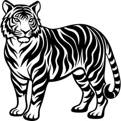 tiger-silhouette-on-white-background 