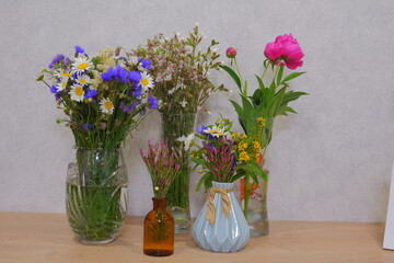 Wildflowers. Various flowers and inflorescences close-up.
