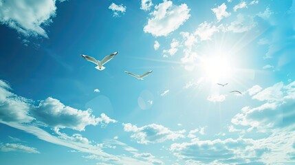 Sunny blue sky with white clouds and free birds flying, summer or spring season. Freedom life
