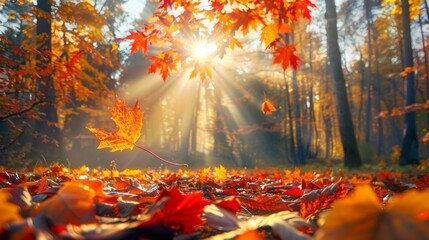 Sunlit Autumn Forest with Falling Maple Leaf, Generative AI