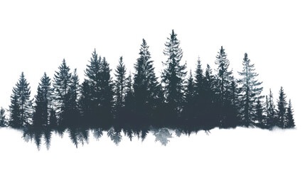 Nighttime silhouetted evergreen forest on a transparent background