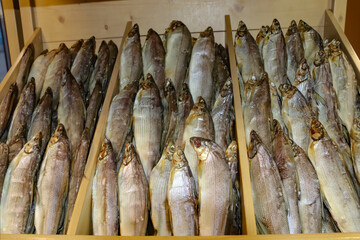 fresh fish on the market