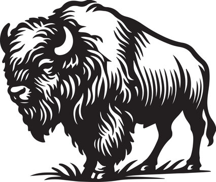 wild bison silhouettes vector illustration