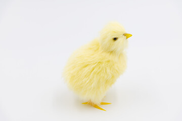 Close-up side view of cute small yellow chicken toy on white background. Easter holiday symbol. Soft focus. Agriculture and poultry theme.
