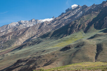 A dirt road through a field with mountains in the background, Zanskar, Himalayas