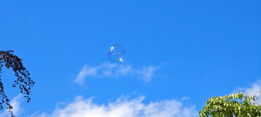 Fliegende Seifenblase