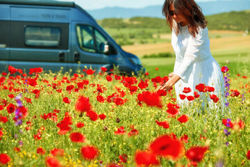 Woman in a white dress picking red poppies in a field next to a camper van. Perfect for themes of...