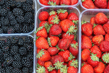 Ripe blackberries and strawberries in plastic containers.
Fresh berries close-up inside plastic...