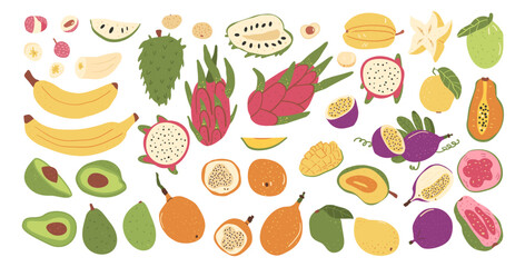Tropical fruits isolated on white background. Set of exotic sweet dessert Vector hand drawn flat collection illustration.