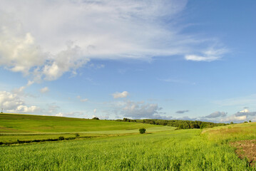 field and sky