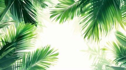 Fototapeta premium Green palm leaf background
