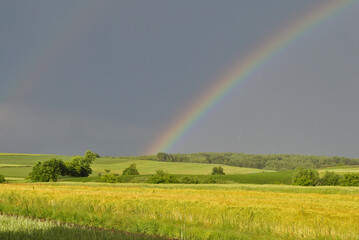rainbow over field
