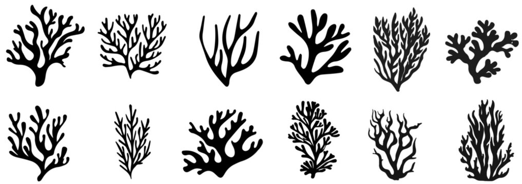 Seaweed silhouettes, coral black icon. Abstract organic shape, underwater plant, matisse element, cute sea doodle. Cartoon marine floral set isolated on white background.