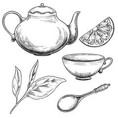 Teapot and cup of tea with lemon and leaves vector set