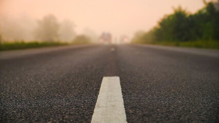 Forest fire, heavy smoke. Natural disaster