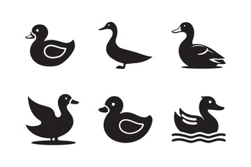 Silhouettes of Duck isolated on a white background. Set of different Duck silhouettes