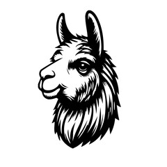llama head vector