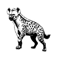 Hyena vector illustration