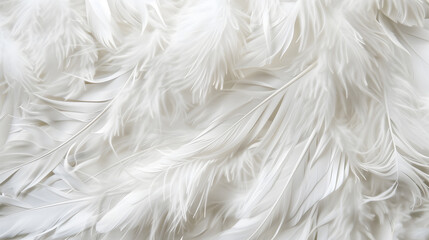 Fototapeta premium Bright white feather texture Overhead top view flat lay Copy space Birthday card Mothers Valentines Womens Wedding Day concept Selective focus : Generative AI